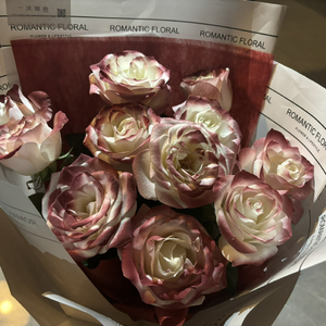 马和儿子操逼的
